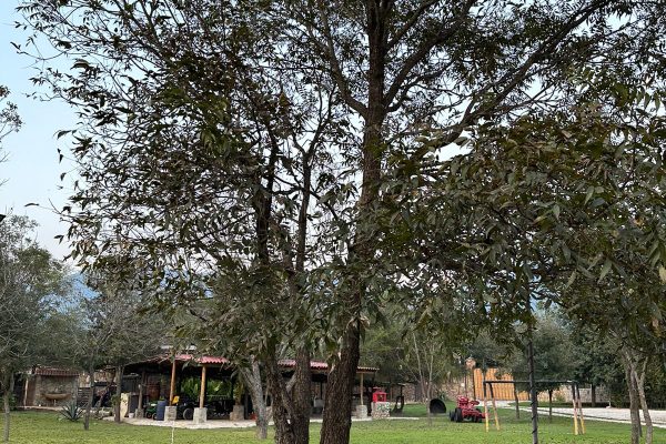 WhatsApp Image 2024-11-08 at 10.49.17_69e700cb