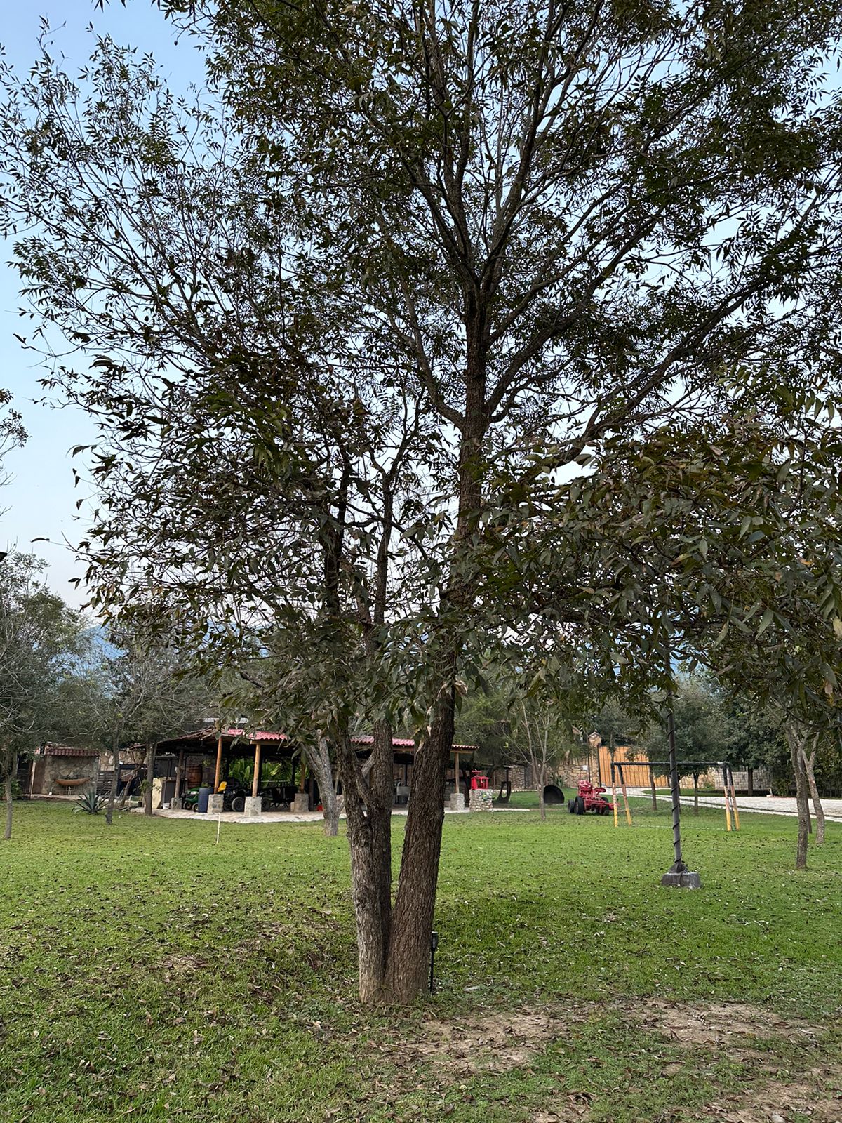 WhatsApp Image 2024-11-08 at 10.49.17_69e700cb