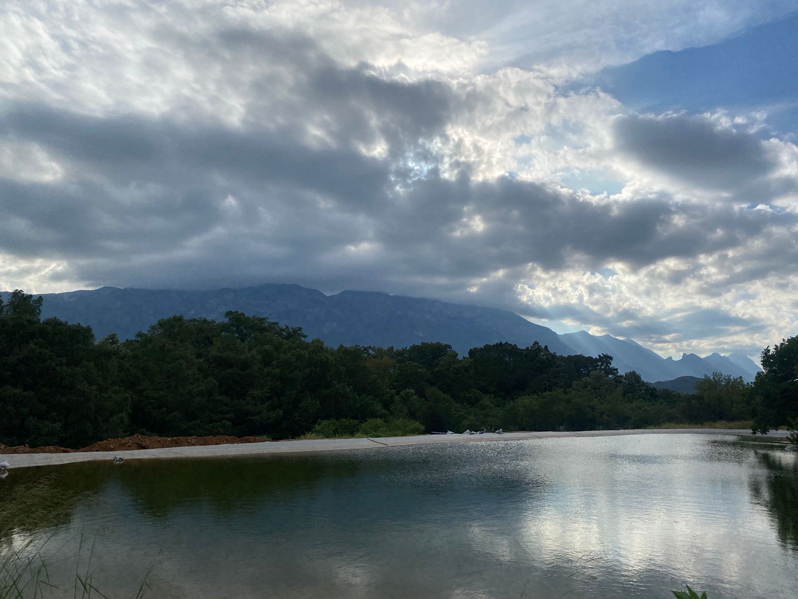 WhatsApp Image 2024-11-08 at 10.50.33_1d1c9980